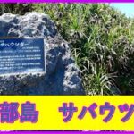 2023年 伊良部島　サバウツガー　サバ沖　宮古島