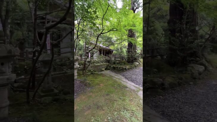 【五所駒瀧神社】茨城県桜川市真壁町にある屈指のパワースポット #桜川市 #江戸時代の建築 #真壁 #茨城観光 #茨城県 #パワースポット   #パワースポット巡り