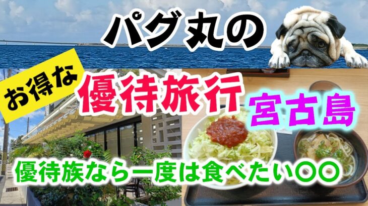 2023年 宮古島市街地へ　優待族なら一度は食べてみたい〇〇を食べました！泊ったホテルには〇〇があり最高でした！