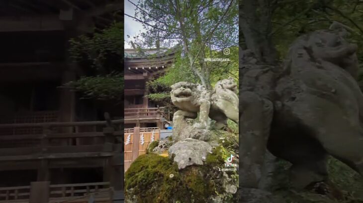 仕事で筑波山へ。　#パワースポット　#筑波山神社　#御朱印　#茨城県　#つくば市　#登山　