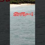 2023年 ゴミかと思ったら海ガメだった！@宮古島