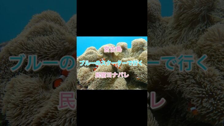 2023年 民宿ヨナパレ　宮古島　ブルーのスクーターで行く