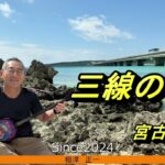 2023年 あこがれの宮古島で三線の花を弾いてみました。