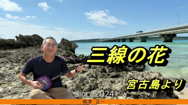 2023年 あこがれの宮古島で三線の花を弾いてみました。