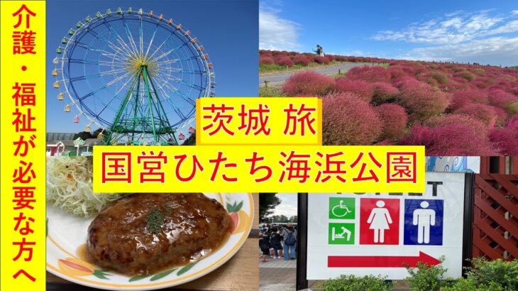 【介護・福祉を必要とする方へ】　茨城 旅　国営ひたち海浜公園　編　コキア最高！