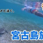 2023年 【宮古島】宮古島３泊４日の旅。野生のウミガメと遭遇！？　後編