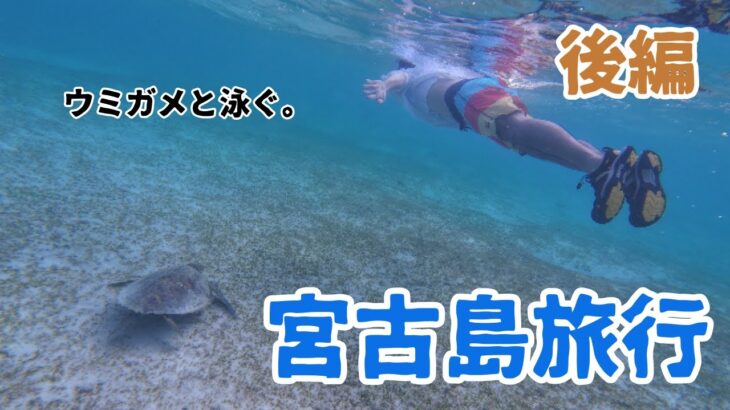 2023年 【宮古島】宮古島３泊４日の旅。野生のウミガメと遭遇！？　後編