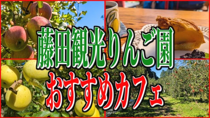 秋の味覚、奥久慈りんご！茨城県大子町、リンゴ園内のおすすめカフェ！【茨城グルメ旅】