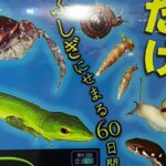 2023年 【宮古島】「ズミ！宮古の生き物展―ワケあってここにいます　固有種のふしぎ―」