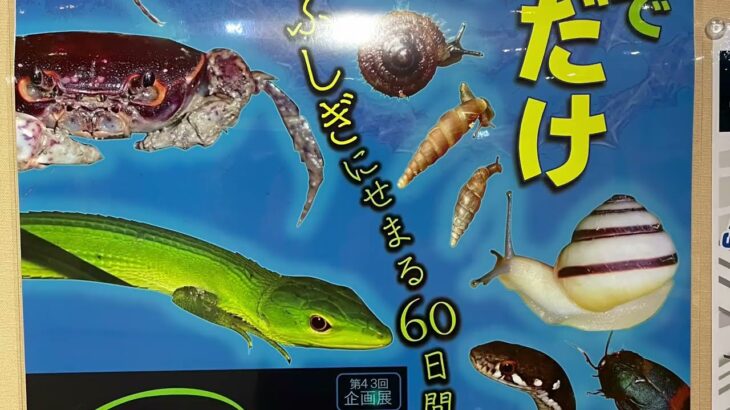 2023年 【宮古島】「ズミ！宮古の生き物展―ワケあってここにいます　固有種のふしぎ―」