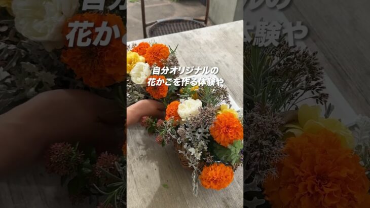 【茨城】非日常感が半端ないコキアの紅葉を楽しむ茨城ひたち観光プラン