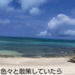 2023年 沖縄県宮古島の風景紹介動画🌴🌺✈🍍