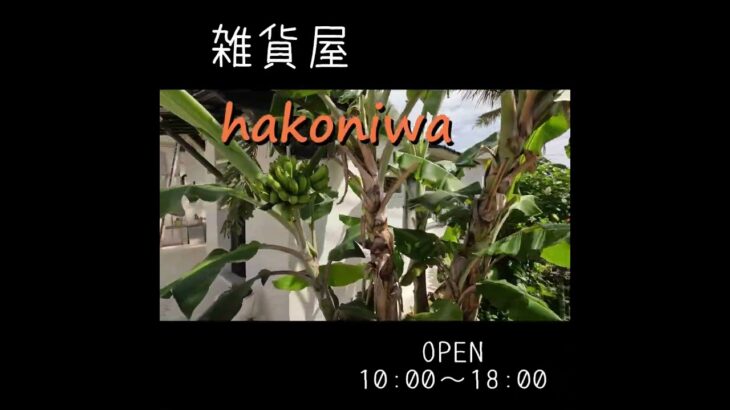 2023年 【宮古島 おすすめ雑貨】絶対に行って欲しい雑貨屋さん