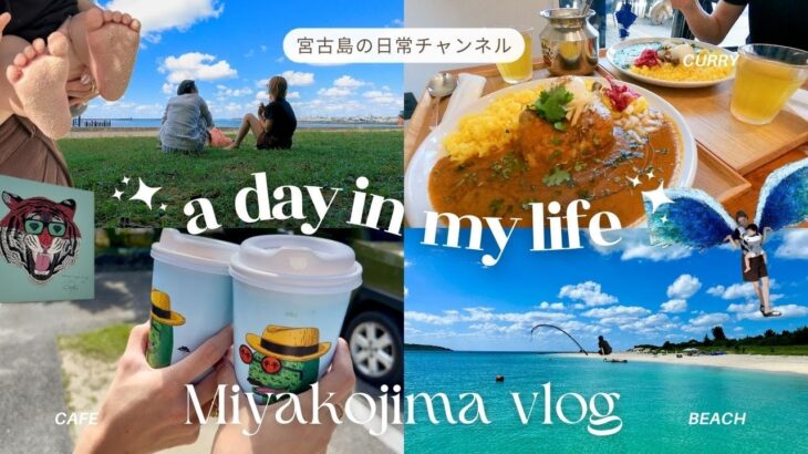 2023年 【日常vlog】宮古島に住むアラサー女子👩🏼‍🤝‍👩🏽島民の休日 │ しっぽりなお祭りに行った夜🏮 │ 早朝マズメ🎣