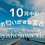 2023年 【日常vlog】10月の宮古島 │ 女子会ランチ&カフェ☕️ │ 島民のモーニングルーティン🍁 │ 少しだけ涼しい宮古島