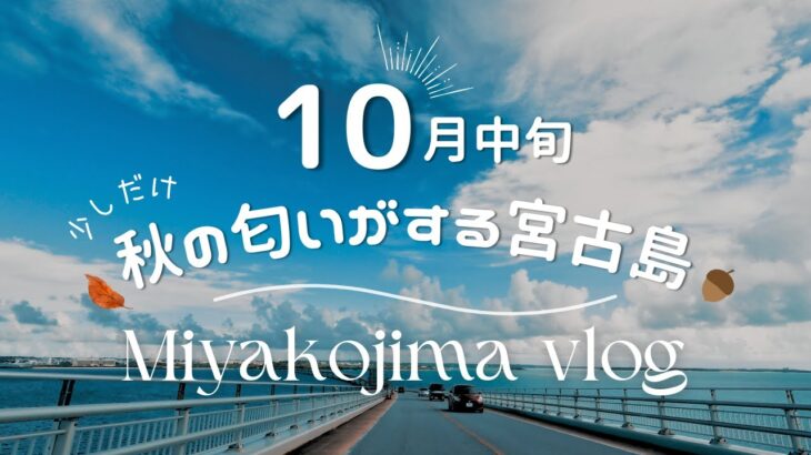 2023年 【日常vlog】10月の宮古島 │ 女子会ランチ&カフェ☕️ │ 島民のモーニングルーティン🍁 │ 少しだけ涼しい宮古島