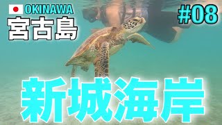 2023年 【宮古島修行#08】 新城海岸(あらぐすく)でウミガメ修行‼︎