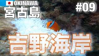 2023年 【宮古島修行#09】また歩いて『吉野海岸』   魚に噛まれても、、、溺れかけても、、えぇやん✨