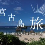 2023年 「1歳半の孫と行く宮古島！家族で楽しむ絶景とグルメの島旅」