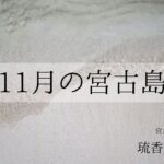 2023年 【宮古島暮らし】11月の宮古島/大荒れ時々晴れ 国仲商店さんでCoffeeTime /Vlog