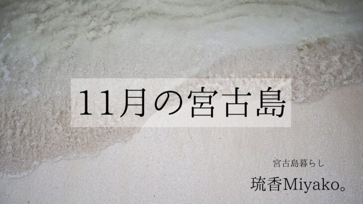 2023年 【宮古島暮らし】11月の宮古島/大荒れ時々晴れ 国仲商店さんでCoffeeTime /Vlog