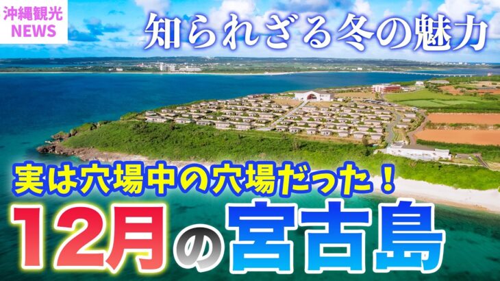 2023年 【12月の宮古島】冬に沖縄離島をおすすめする理由🤫実は穴場中の穴場だった！2024年最新基本情報まとめ／天気・台風・混雑状況・服装・最新グルメや注意点もまとめて紹介⚠️