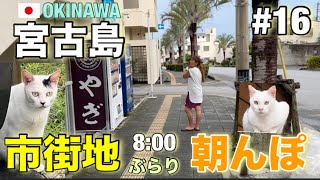 2023年 【宮古島修行#16】 宮古島市街地を朝さんぽ‼︎