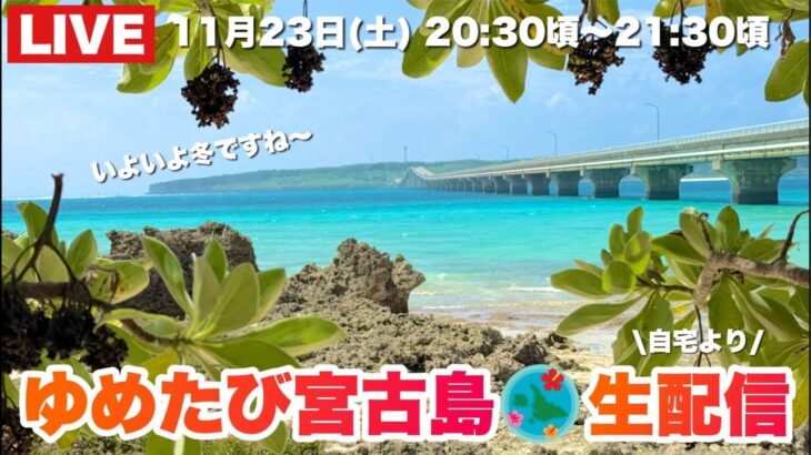 2023年 【生配信】冬突入目前の宮古島を語りましょう⛄️2024.11.23