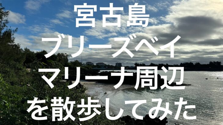 2023年 【宮古島】ブリーズベイマリーナ周辺散歩 2024/11/11