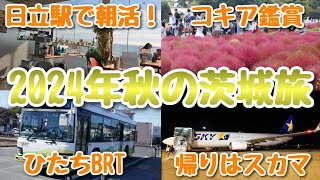 2024年秋の茨城旅（日立駅朝カフェ、コキア鑑賞、BRT、おさかなセンター）