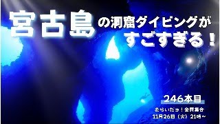 2023年 246本目 やっぱり宮古島の洞窟ダイビング（ケーブダイブ）はスゴイ！！宮古島のケーブダイビングの魅力について４K映像と一緒にたっぷりお伝えしたいと思います。 むらいだョ！全員集合