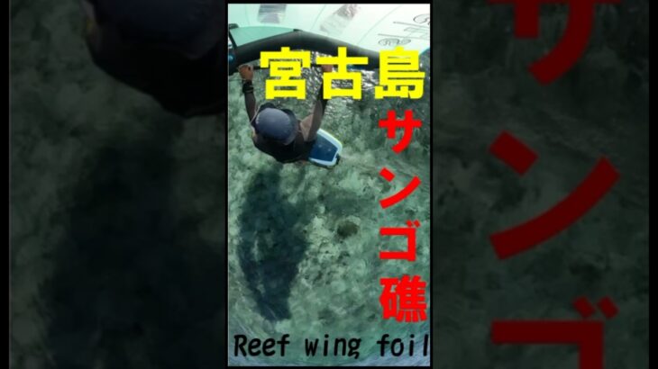 2023年 宮古島珊瑚礁ウイングフォイル#Gong #宮古島 #wing #wingfoiling #gofoil #duotonesports #reef #gopro