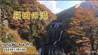 🍁[HD]2024/11/14 今が見頃 茨城県大子町 袋田の滝