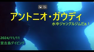 2023年 アントニオ・ガウディ 再訪 宮古島 Part2