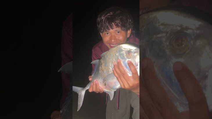 2023年 Tengah malam😋😎🎣#fishing #宮古島 #mancing #fish