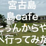 2023年 【宮古島】島cafe とぅんからや 2024/11/12