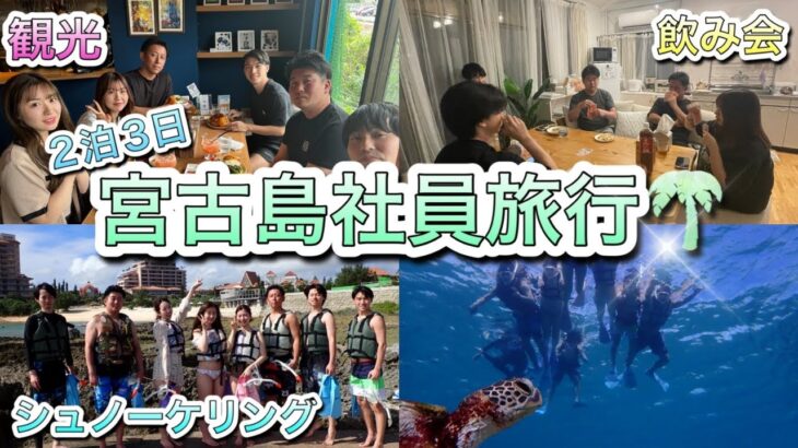 2023年 【番外編】社員旅行in宮古島🌴