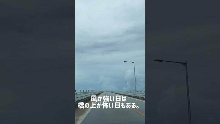 2023年 宮古島で暮らす島民の台風前の買い出し🌀と刺身が好きな観光客におすすめ佐良浜漁港#shorts #宮古島 #伊良部島 #伊良部大橋 #宮古島旅行 #台風