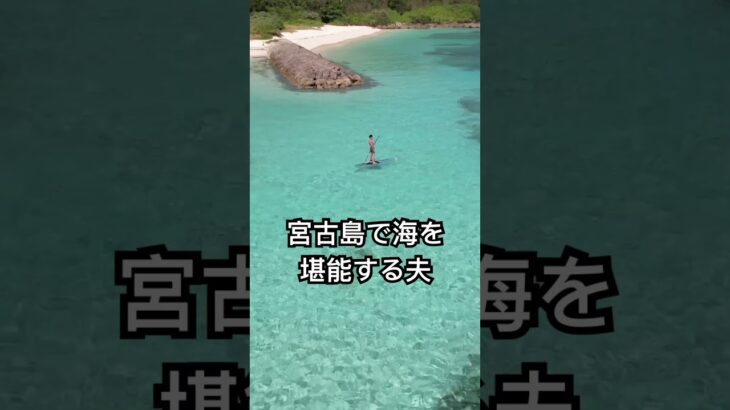 2023年 宮古島で海を堪能する夫#夫#宮古島#宮古島好き#sup#サップ#クリアサップ#ウミガメ#海#oceanlife#沖縄#旅行#旅行vlog #shorts#オリオンビール