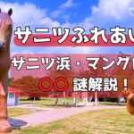 2023年 【 サニツ浜ふれあい公園（沖縄県宮古島)】マングローブ生息公園❗️初心者必見🔰 マングローブ特別・解説付き‼️家族小さなお子様連・お薦めスポット👌😊