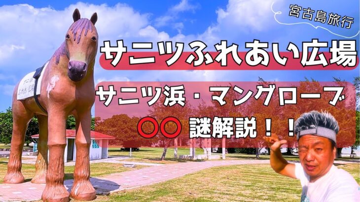 2023年 【 サニツ浜ふれあい公園（沖縄県宮古島)】マングローブ生息公園❗️初心者必見🔰 マングローブ特別・解説付き‼️家族小さなお子様連・お薦めスポット👌😊