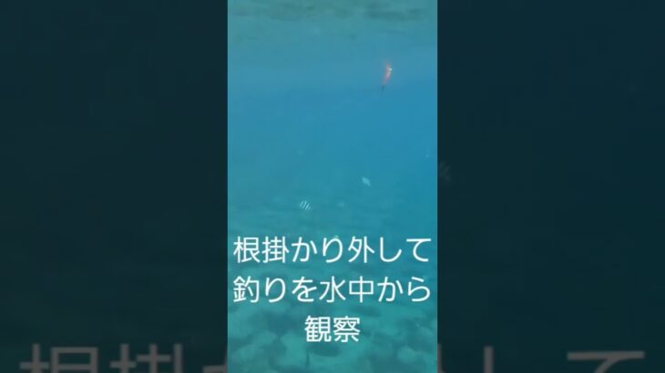 2023年 水中から見る宮古島での釣り🎣