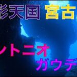 2023年 🥑宮古島アントニオガウディ🤿地形天国宮古島でエンリッチ使ってのんびりダイビング