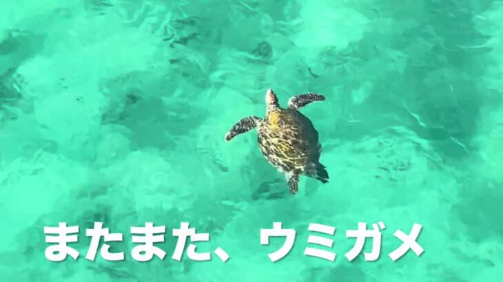 2023年 【宮古島】伊良部大橋を歩いて渡ってみる