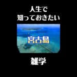 2023年 宮古島の意外な雑学#歴史 #観光 #雑学 #旅行ガイド #旅行