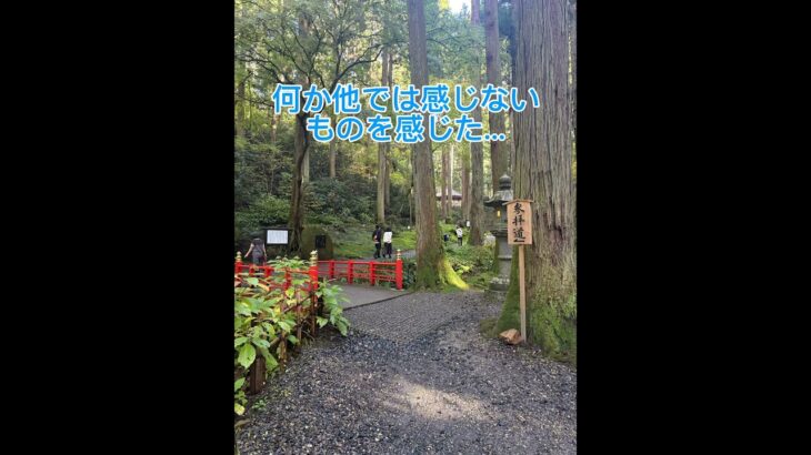 茨城県日立市の御岩神社に行ってきた！雰囲気すごい！おすすめ行ってみて #観光 #茨城県 #神社 #神社好き #雰囲気すごい