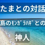 2023年 [朗読]　みたまとの対話二　『宮古島のモンガラハギとの対話』　著者：神人