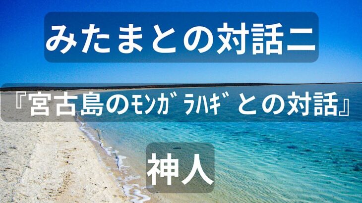 2023年 [朗読]　みたまとの対話二　『宮古島のモンガラハギとの対話』　著者：神人