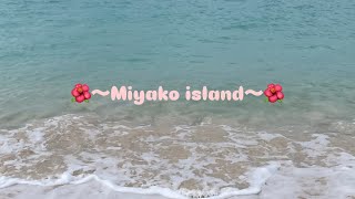 2023年 【初宮古島🌊✨🌺】