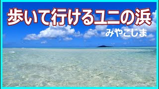 2023年 池間大橋　ユニの浜　宮古島